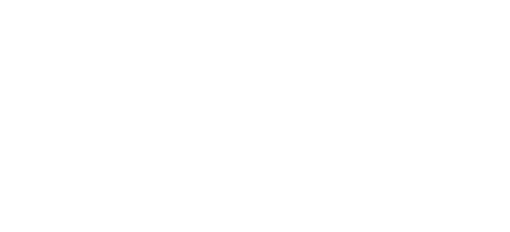 lite-speed-logo-withe