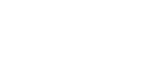 lite-speed-logo-withe