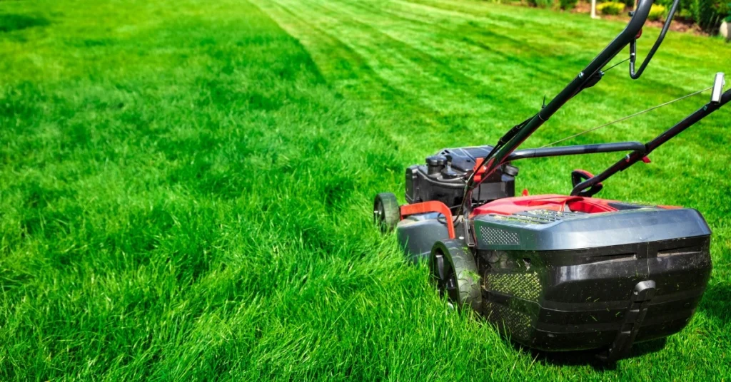 Determining the Cost of Lawn Care Business Insurance